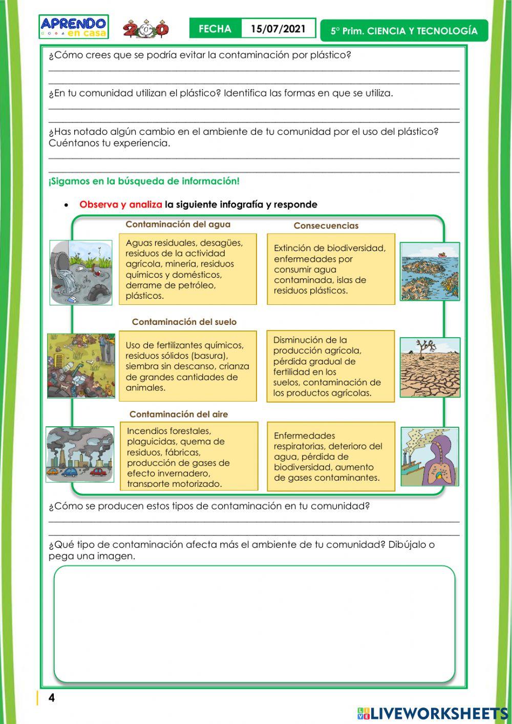 Indago sobre los efectos de la contaminación ambiental.