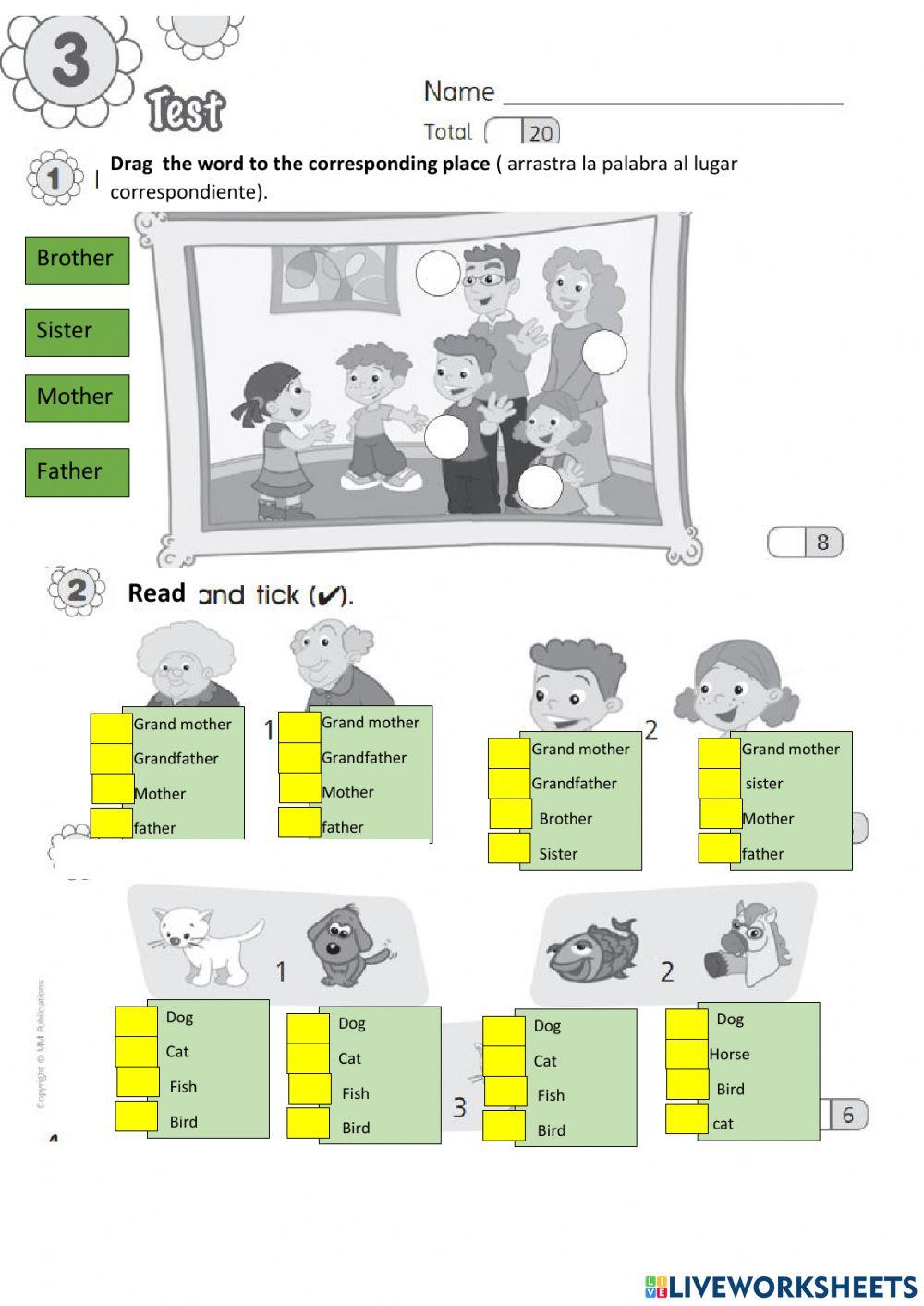 English test Smart Junior 1