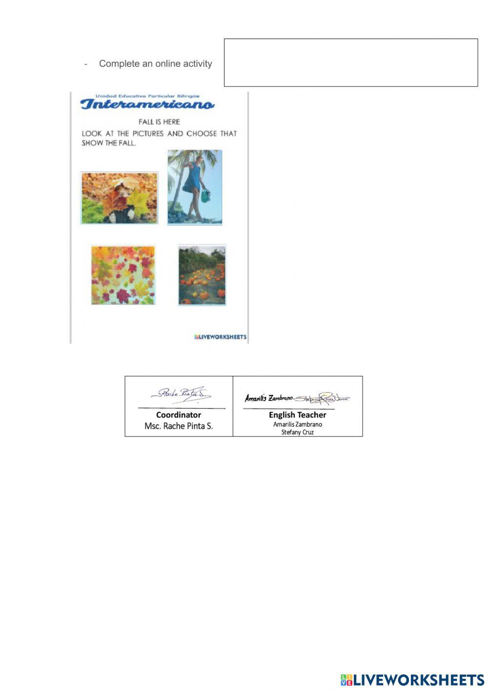 Weekly activities week 10