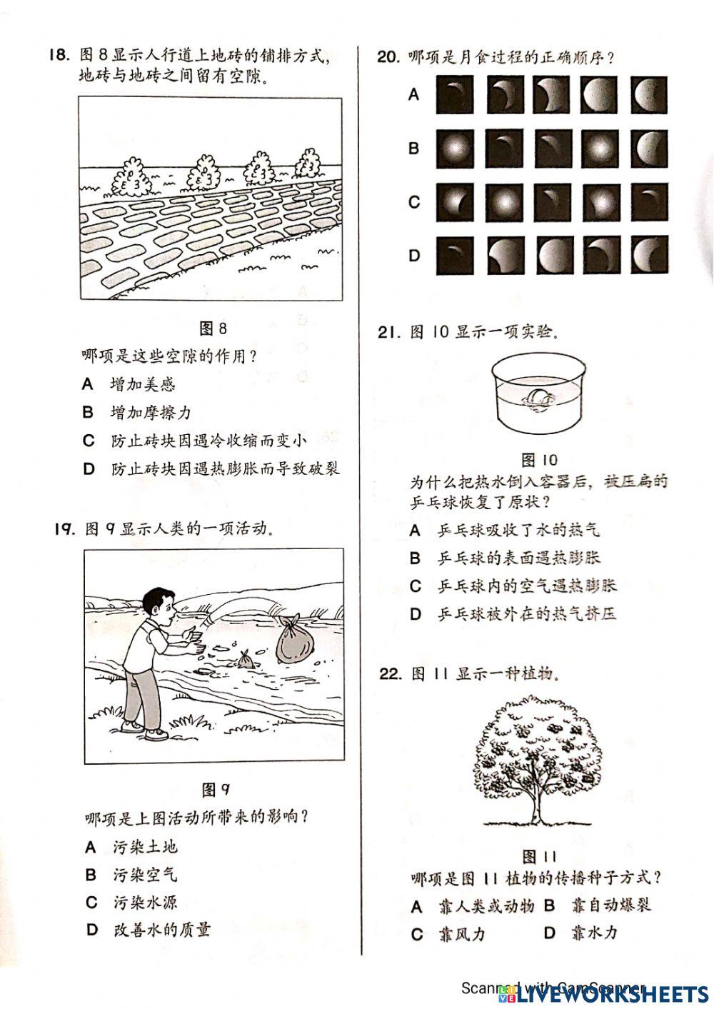 六年级科学评估2
