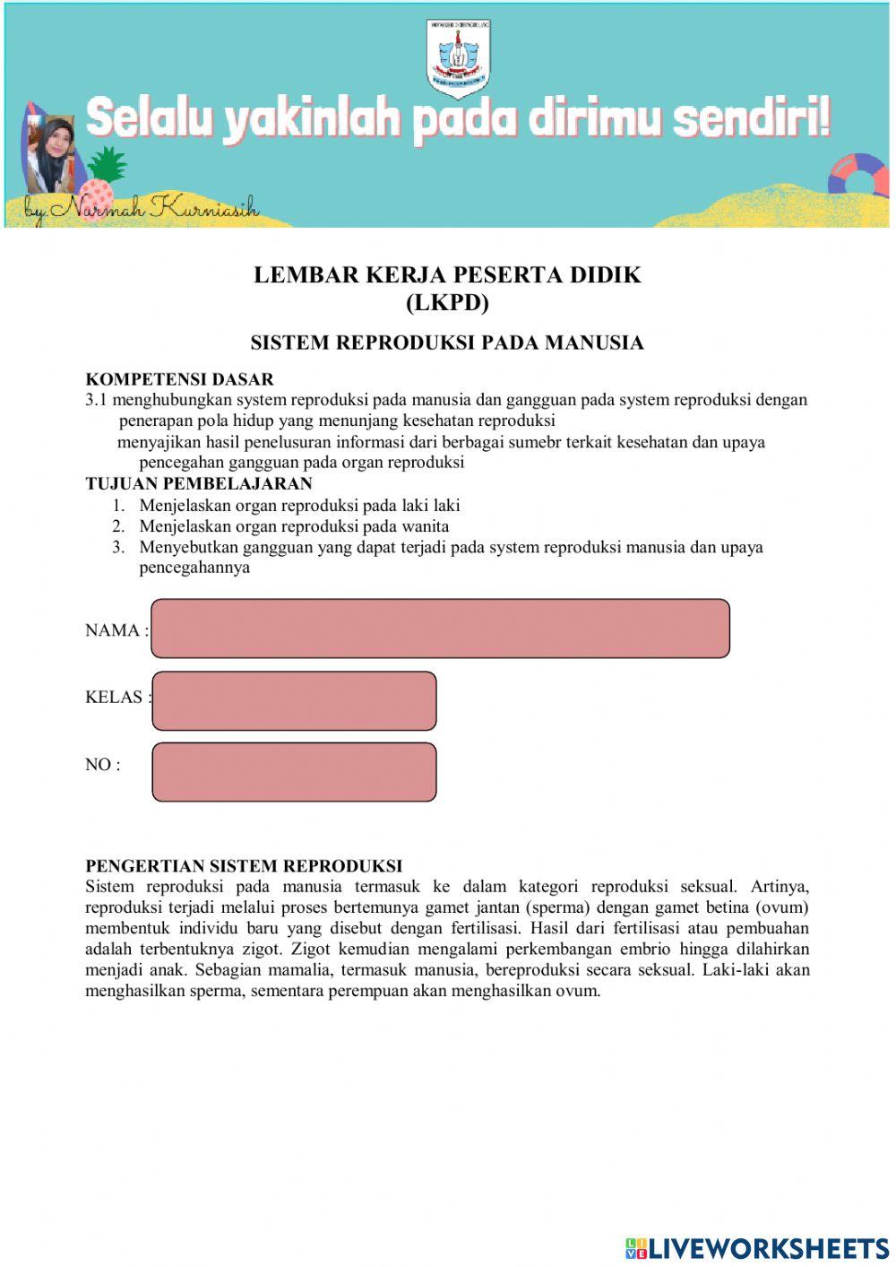 Sistem Reproduksi Manusia