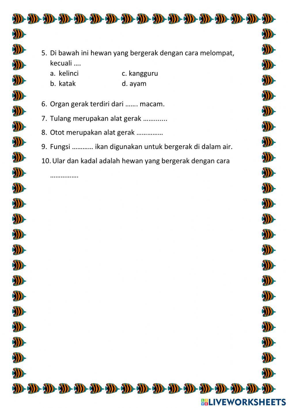 IPA organ gerak hewan