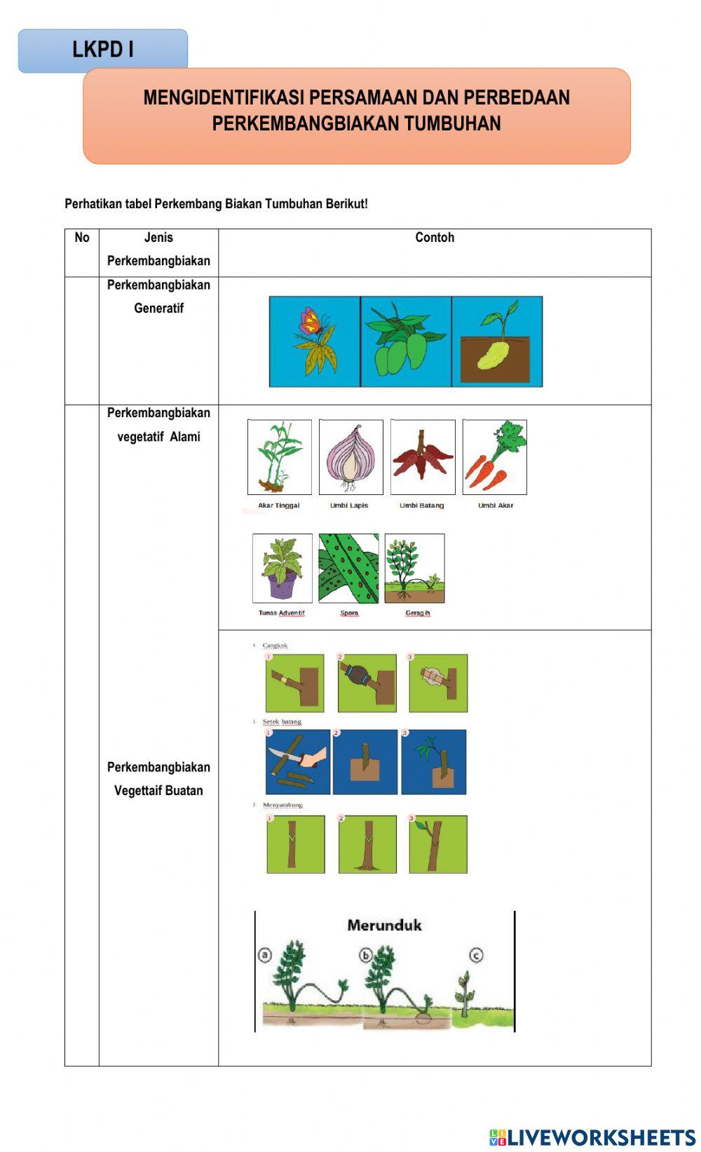 Diagram Venn Perkembangbiakan Generatif dan Vegetatif