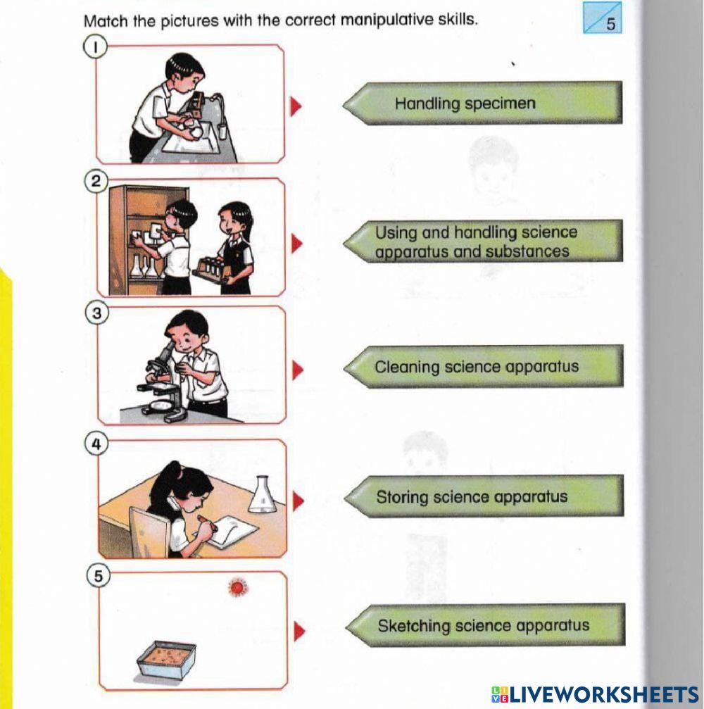 Mid -Year Assessment Science Year 2