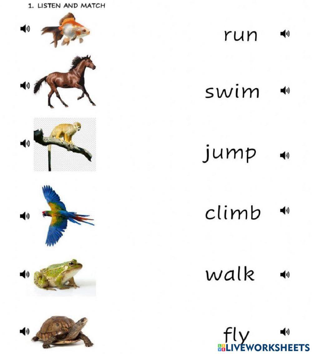Mid -Year Assessment Science Year 2