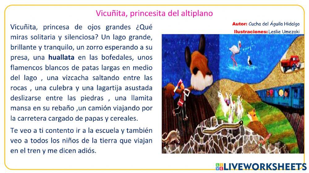 Vicuñita, princesita del altiplano