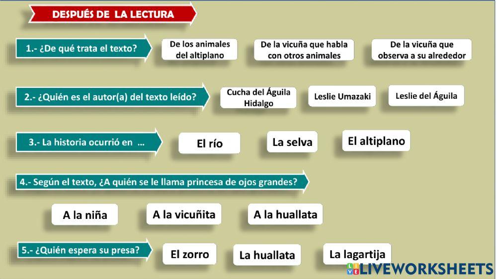 Vicuñita, princesita del altiplano