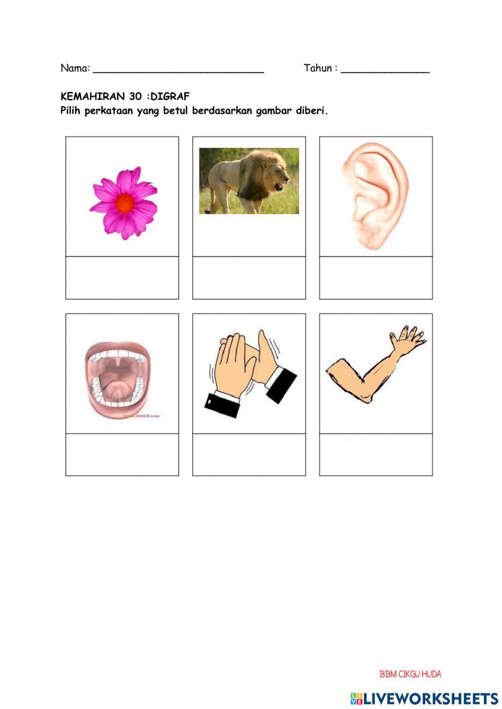 KP 30:Perkataan dan Ayat Digraf