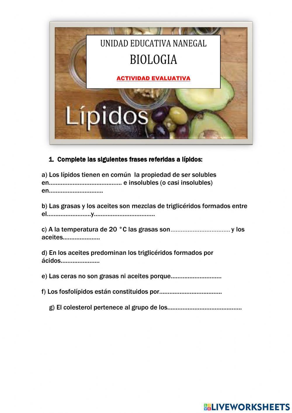 Lipidos