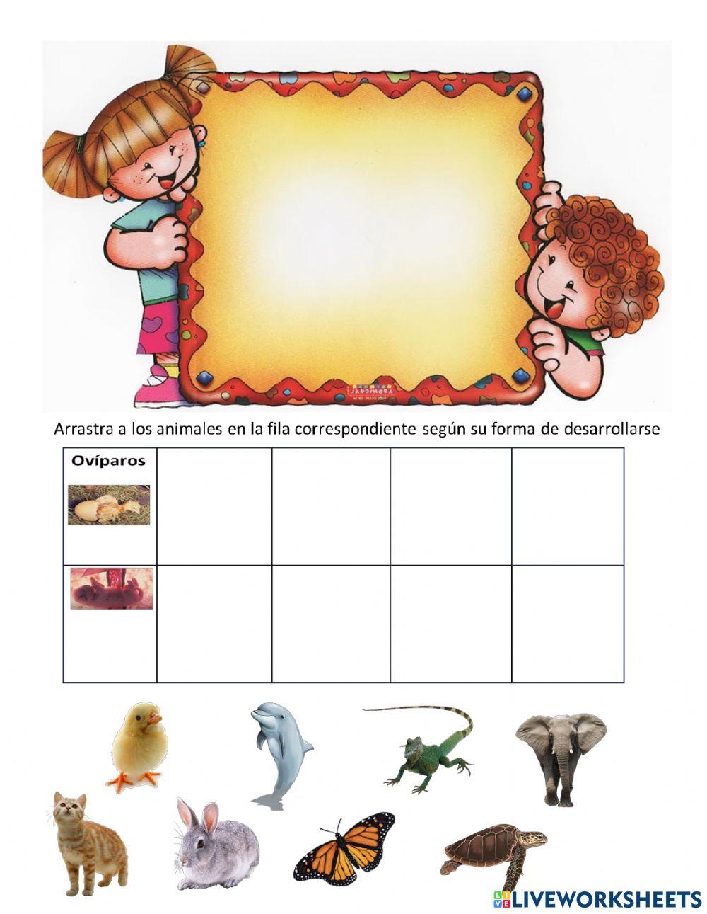 Reproducción de los animales