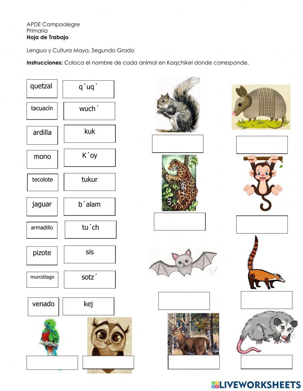 Animales salvajes en Kaqchikel