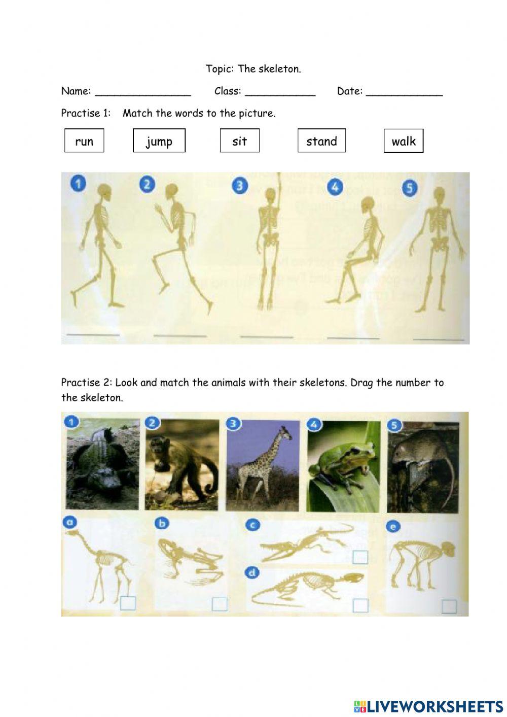 English Year 2 - The Skeleton (Page 102)