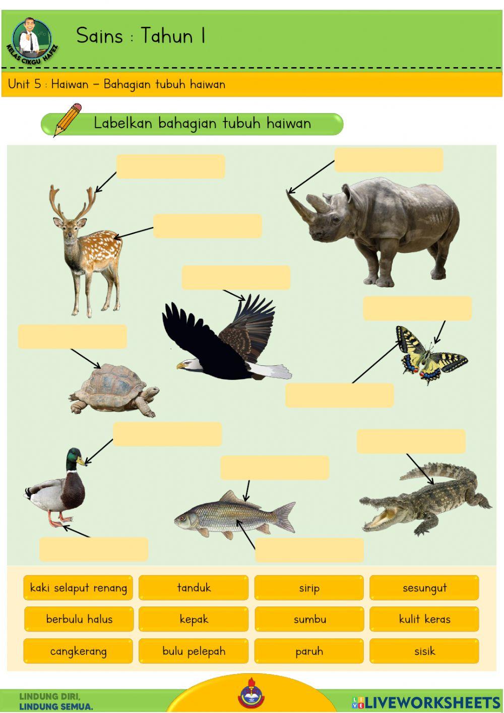 Sains T1 - Bahagian tubuh haiwan
