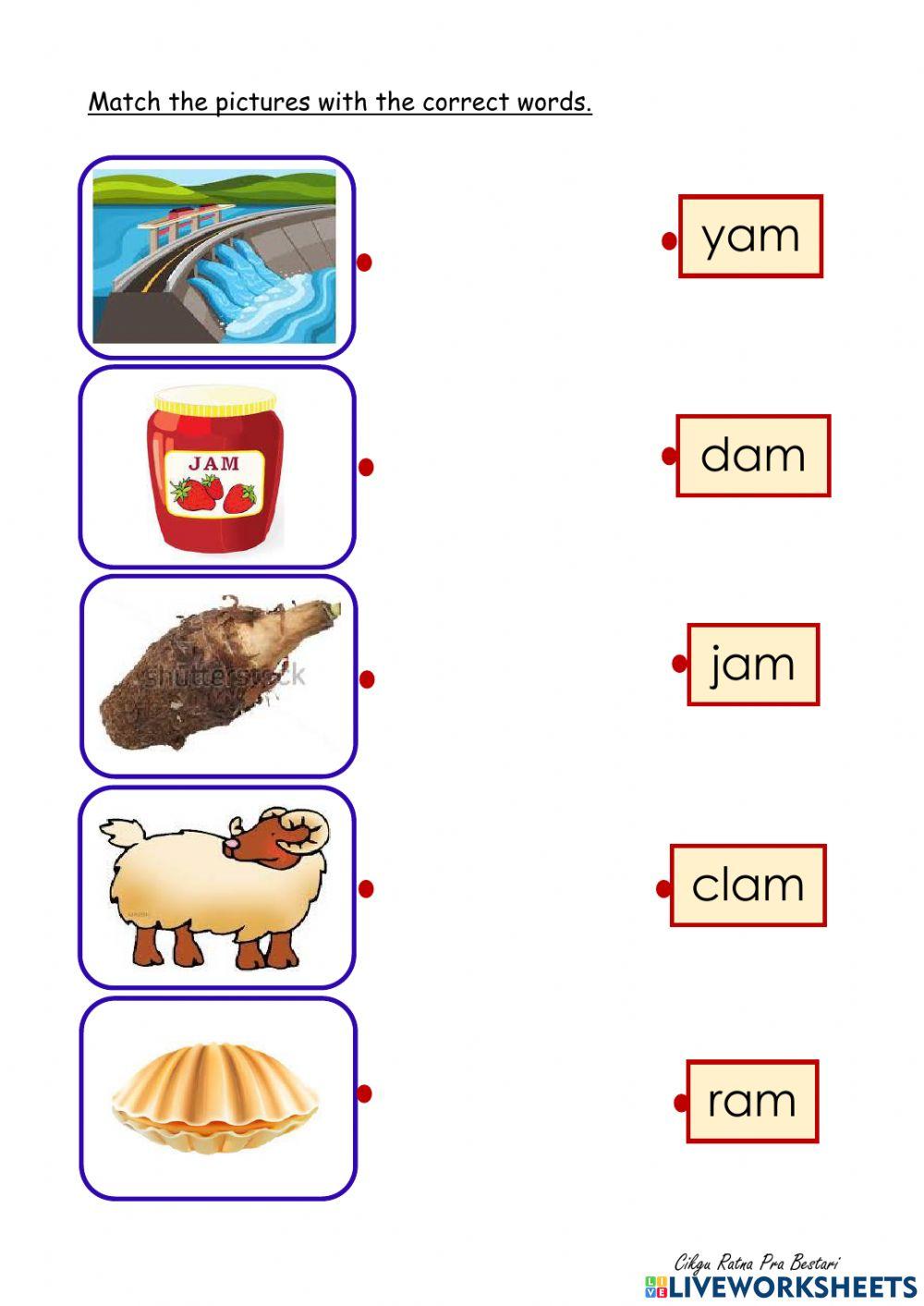 'am' word family