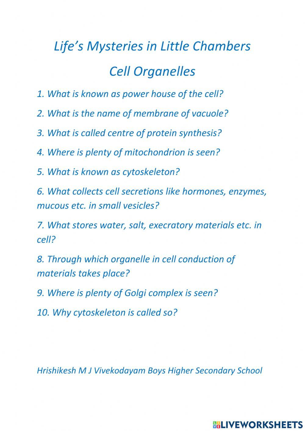 Organelles of Cell