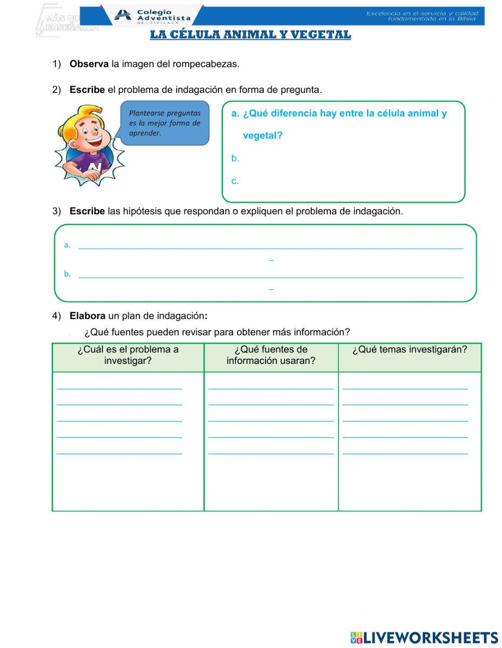 Celula animal y vegetal