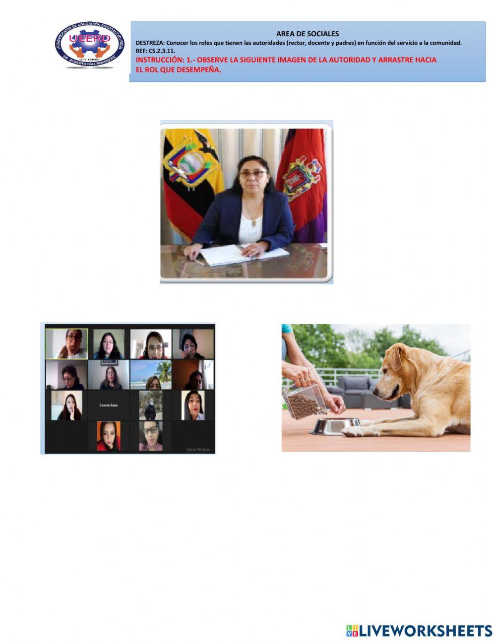 Roles que tienen las autoridades