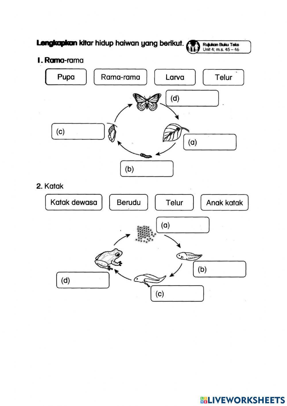 Penilaian Pertengahan Tahun 2021 (Sains Tahun 2)