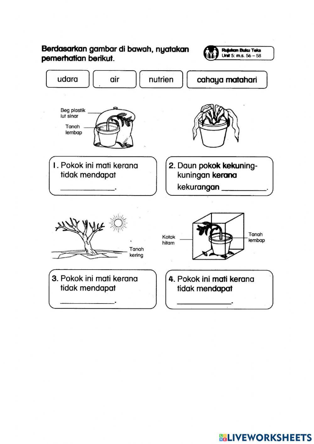 Penilaian Pertengahan Tahun 2021 (Sains Tahun 2)