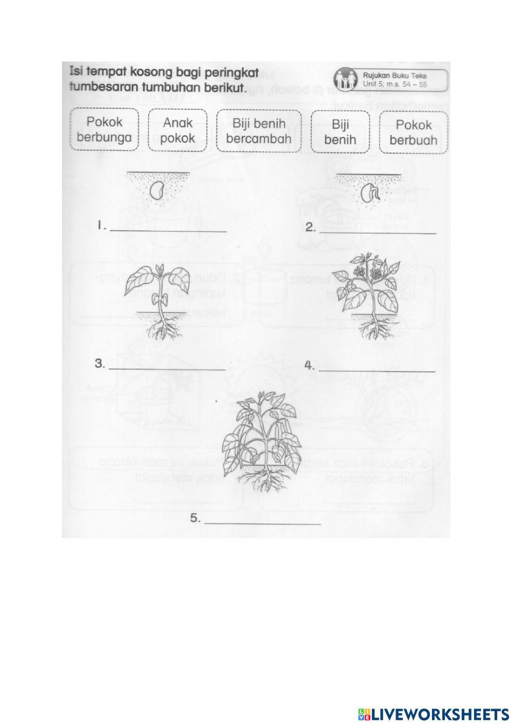 Penilaian Pertengahan Tahun 2021 (Sains Tahun 2)
