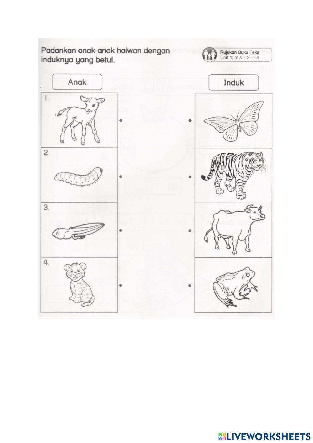 Penilaian Pertengahan Tahun 2021 (Sains Tahun 2)