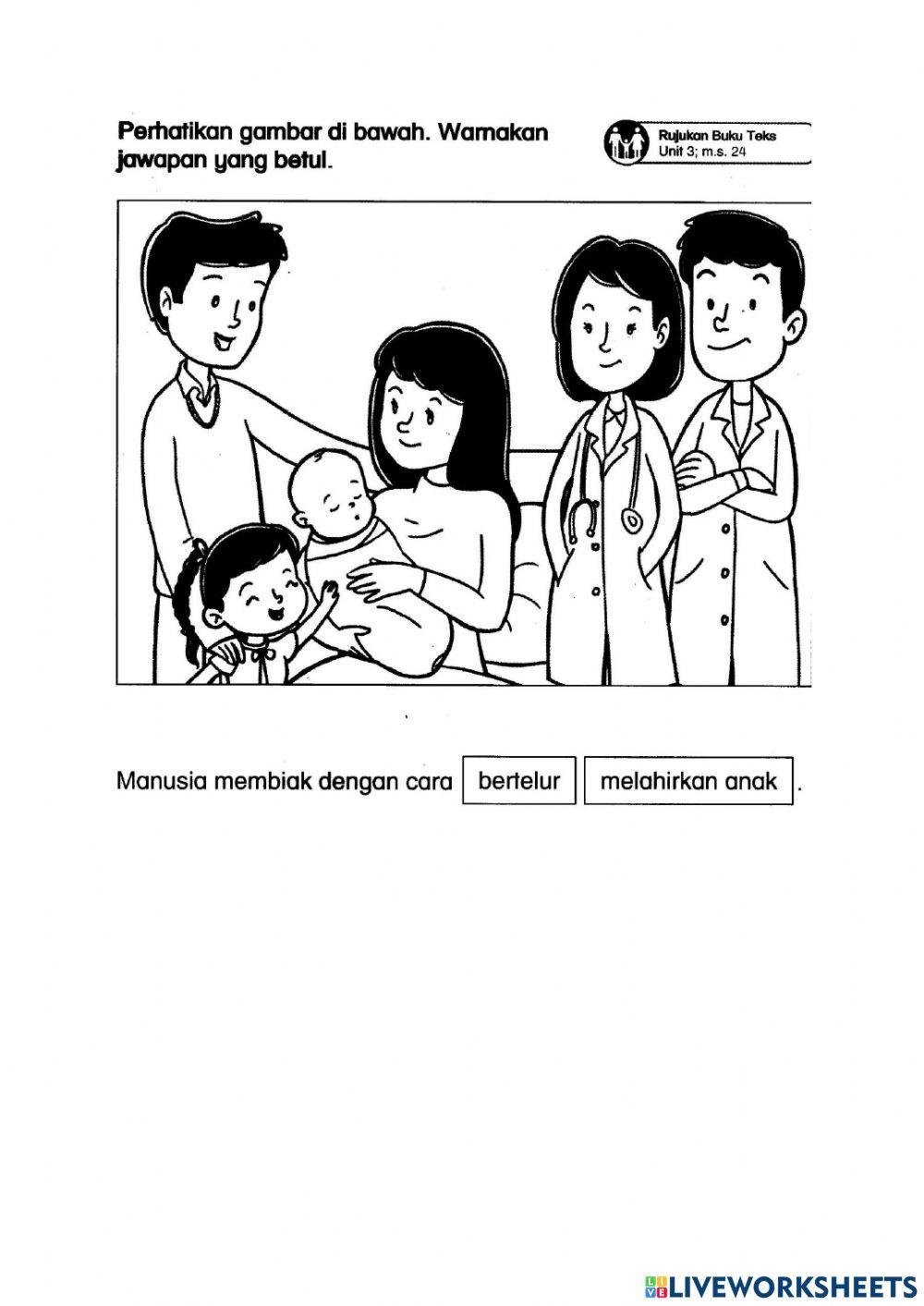 Penilaian Pertengahan Tahun 2021 (Sains Tahun 2)