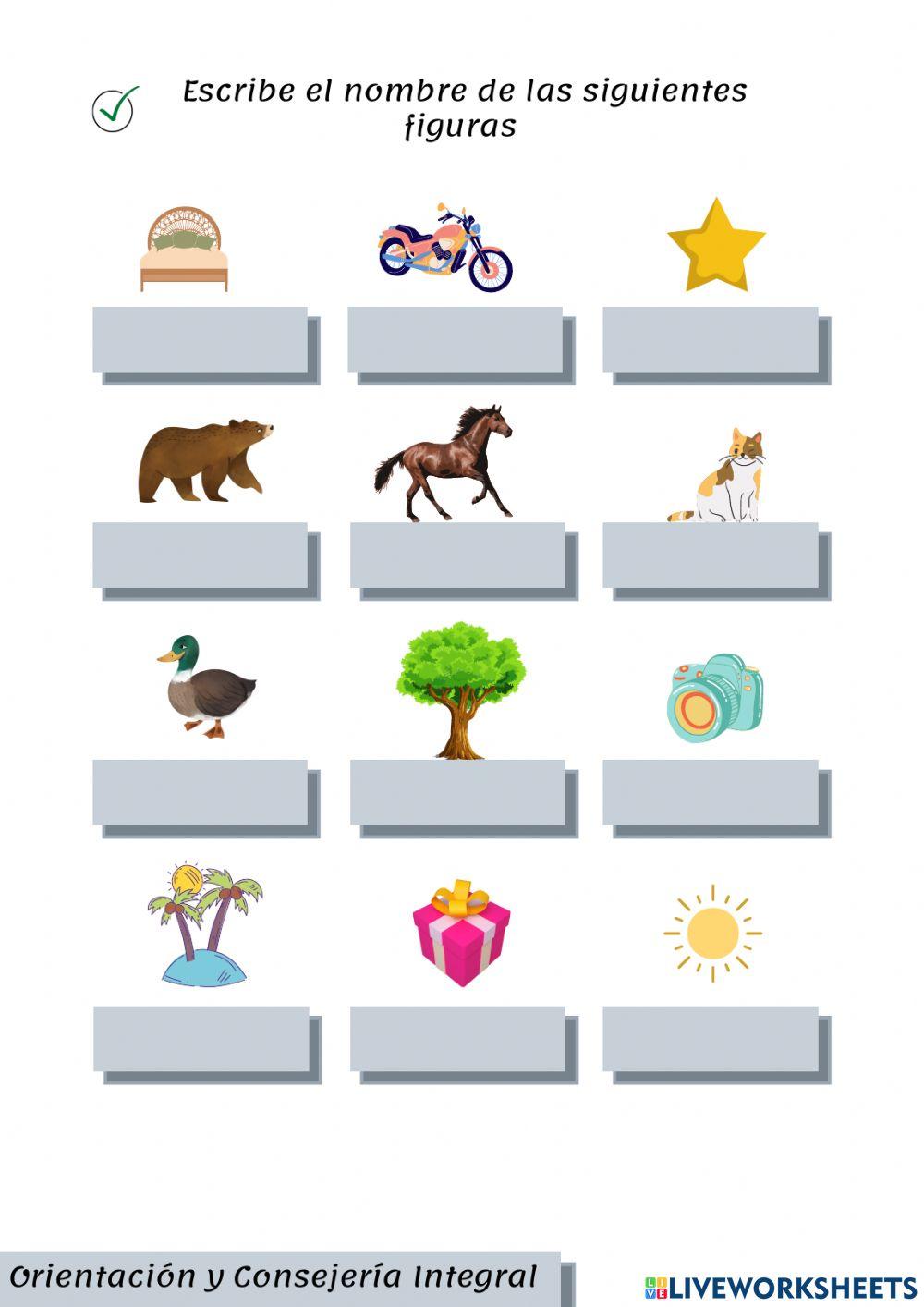 Prueba diagnostica segundo grado