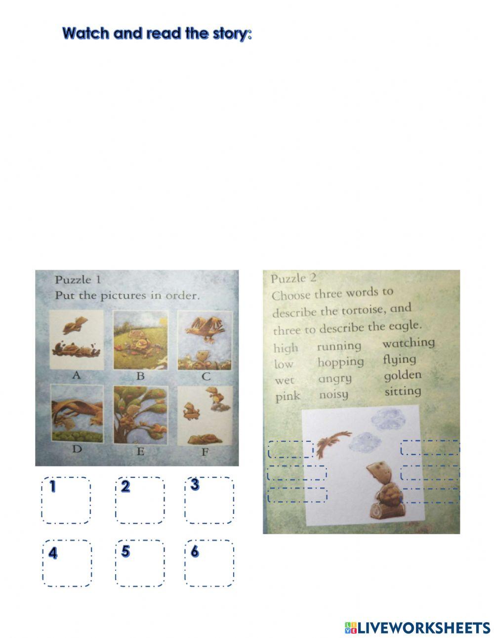 The Tortoise and the Eagle