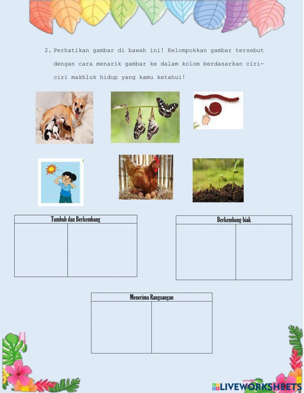 Lembar Kerja Peserta Didik