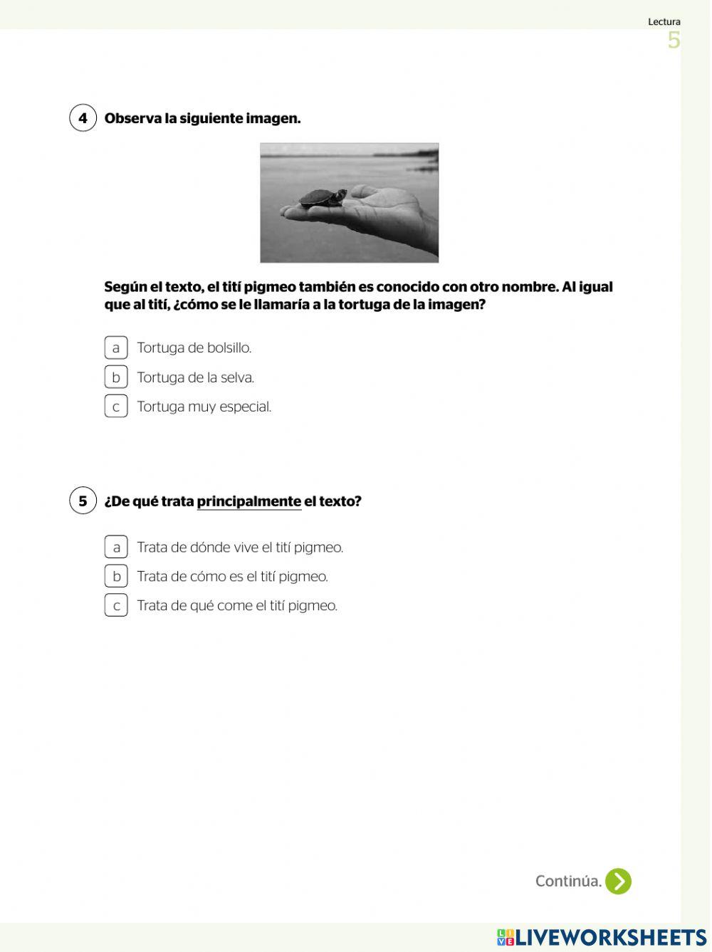 Examen de Comunicación - Parte 1