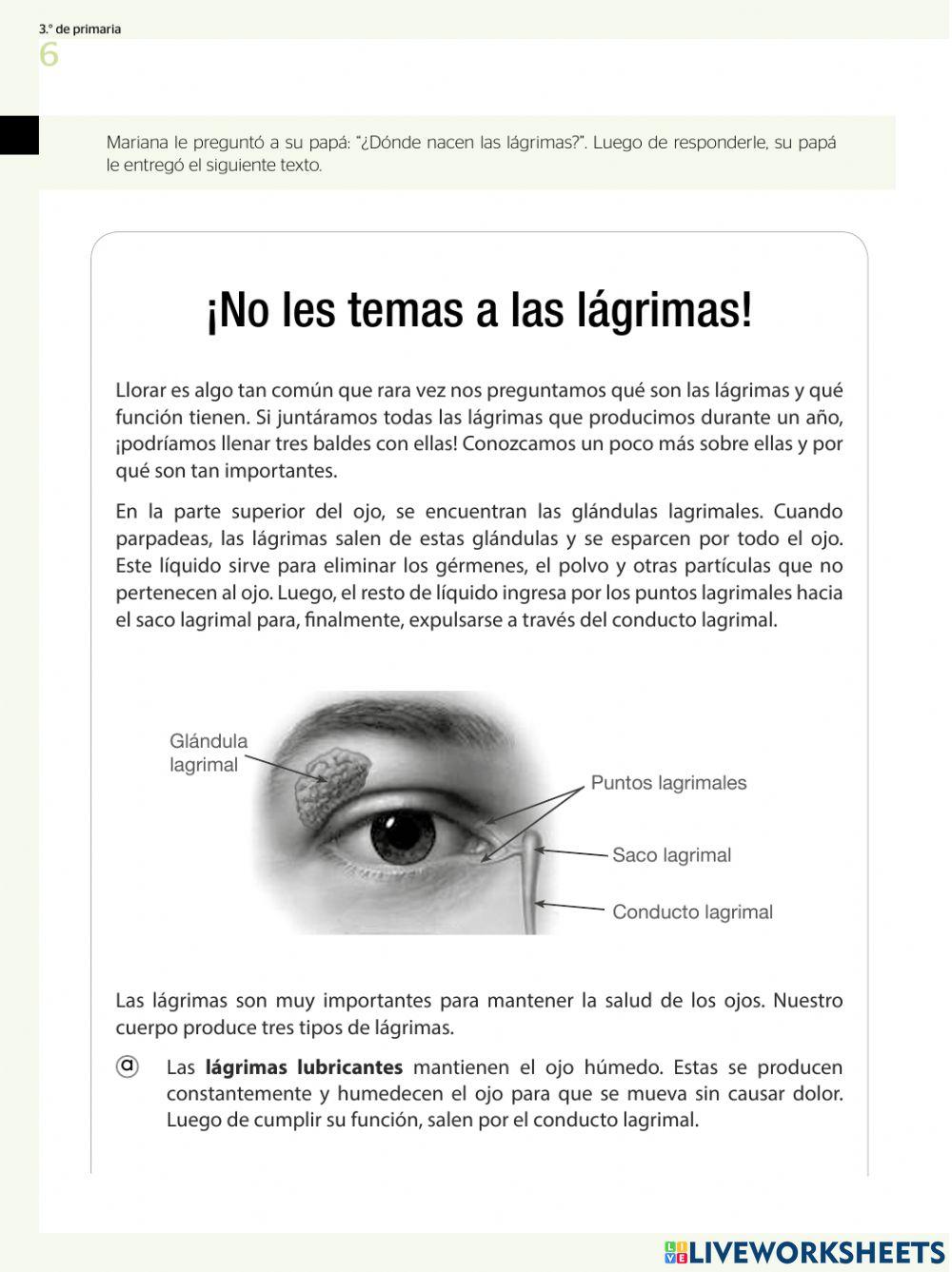 Examen de Comunicación - Parte 1