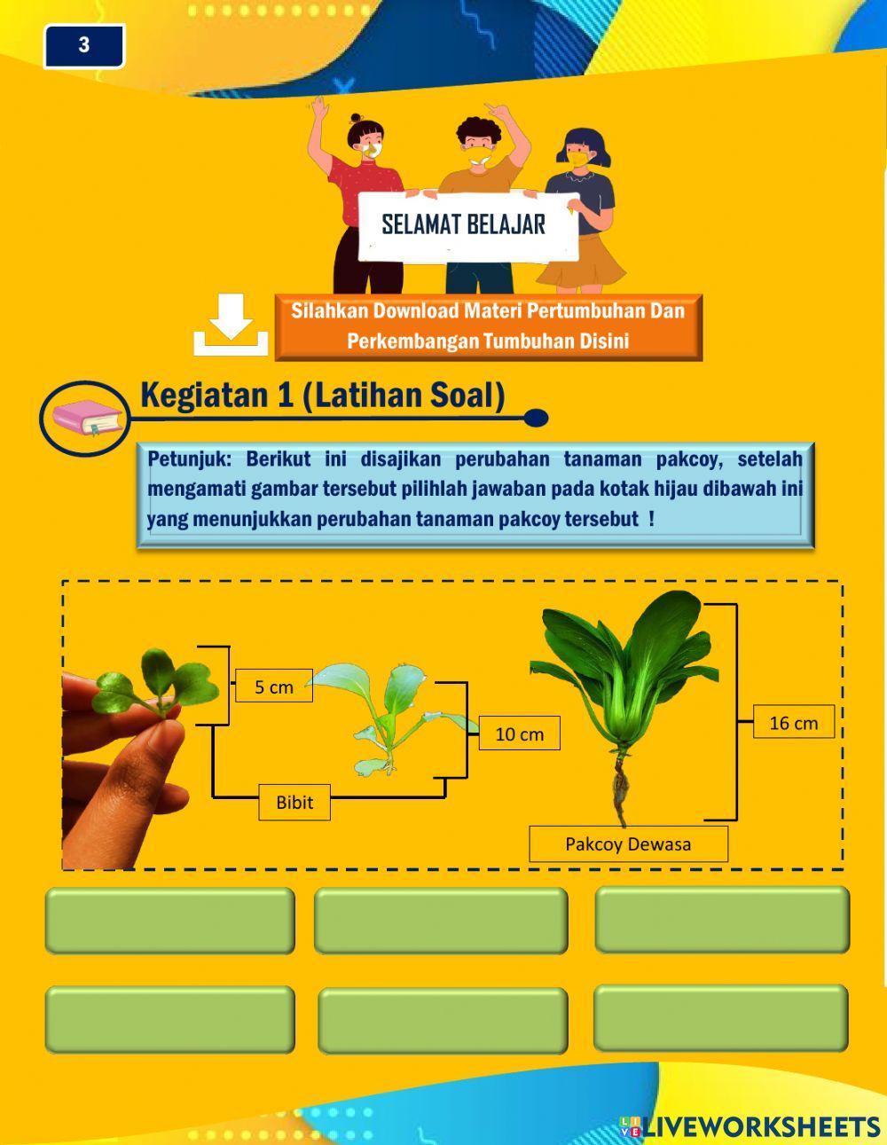 Lkpd liveworksheet pertumbuhan dan perkembangan tumbuhan sma kelas xii
