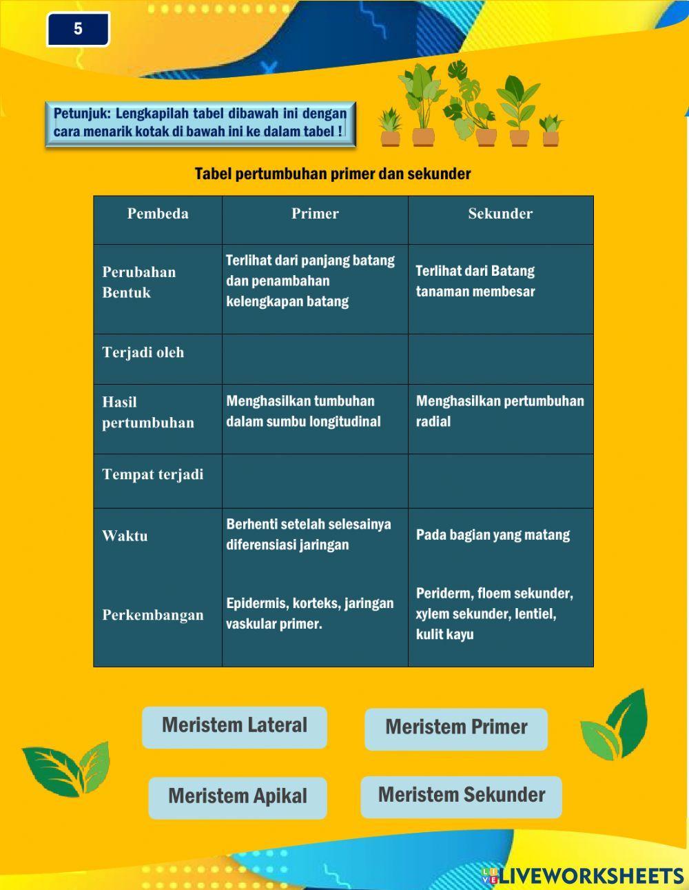 Lkpd liveworksheet pertumbuhan dan perkembangan tumbuhan sma kelas xii