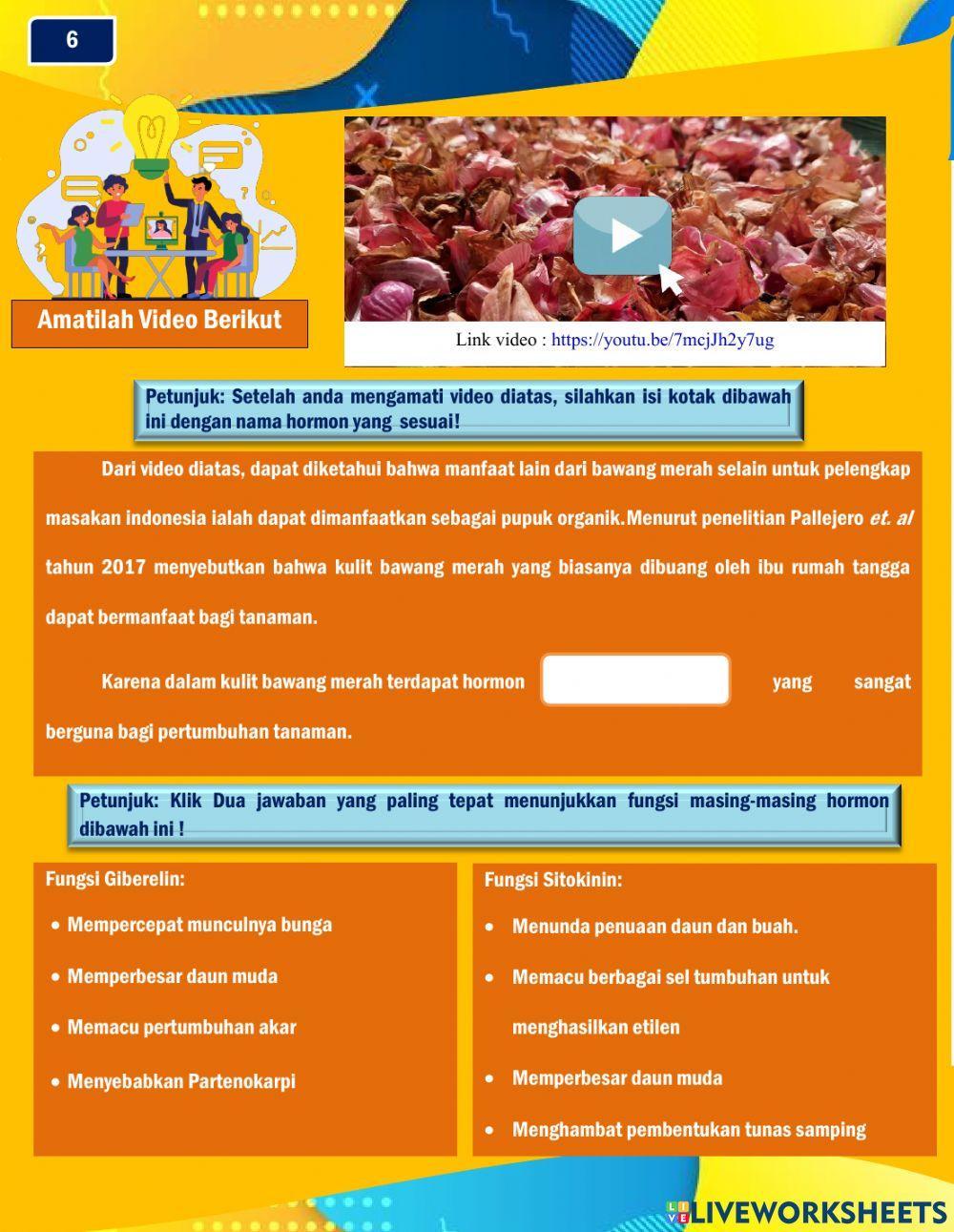 Lkpd liveworksheet pertumbuhan dan perkembangan tumbuhan sma kelas xii