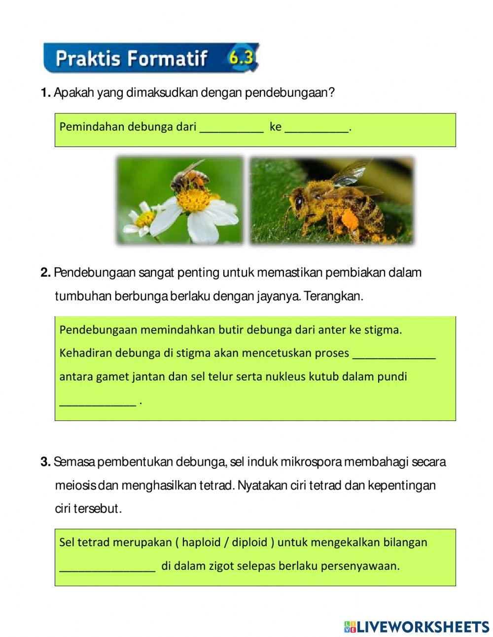 Praktis Formatif 6.3