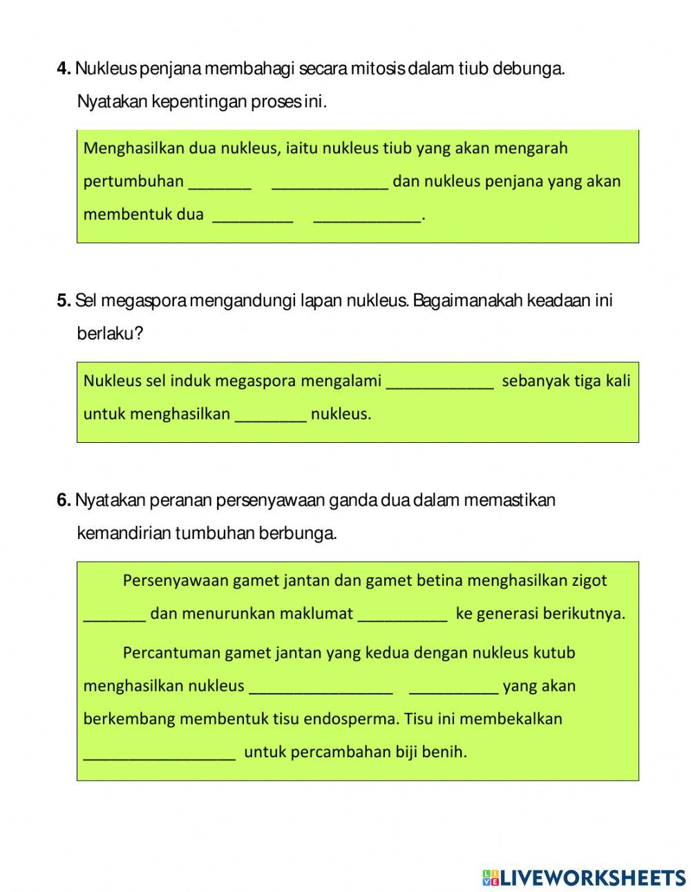 Praktis Formatif 6.3
