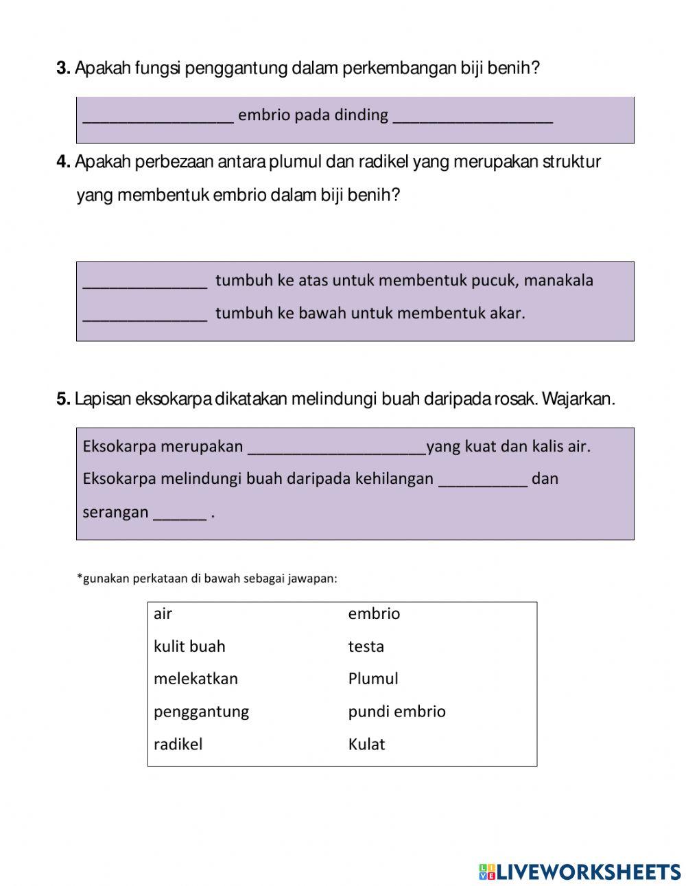 Praktis Formatif 6.4