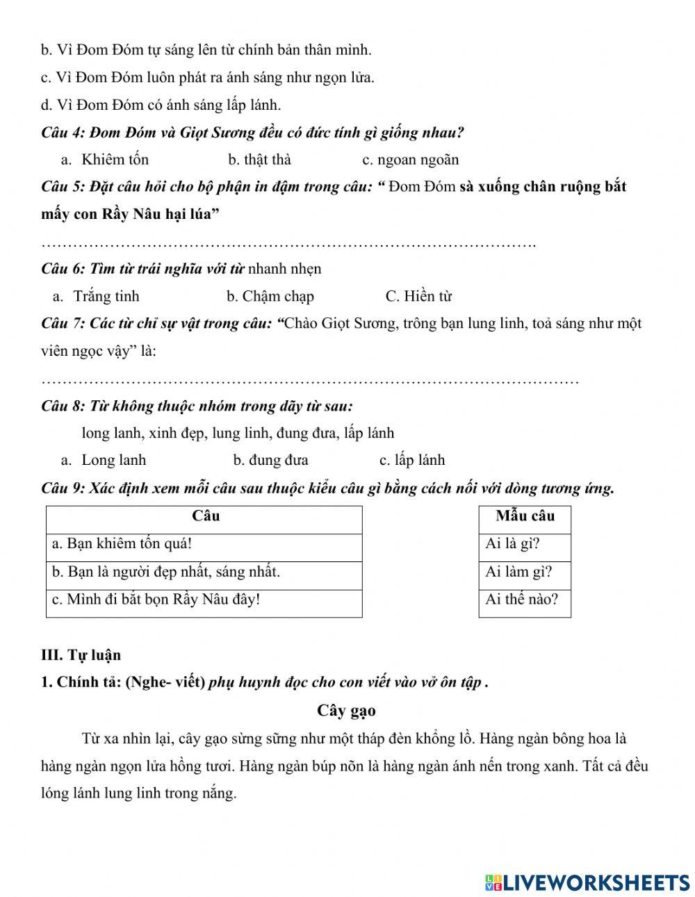 Đom Đóm và Giọt Sương