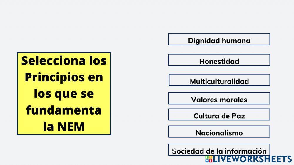 Nueva escuela MEXICANA
