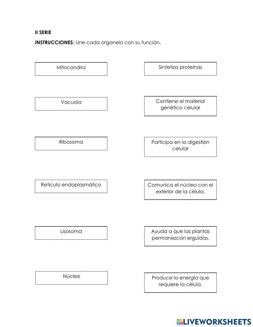 Evaluación segunda unidad