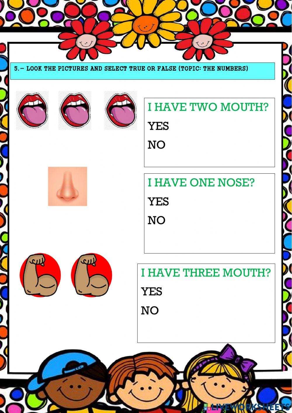 Assessment  2  (1er egb)