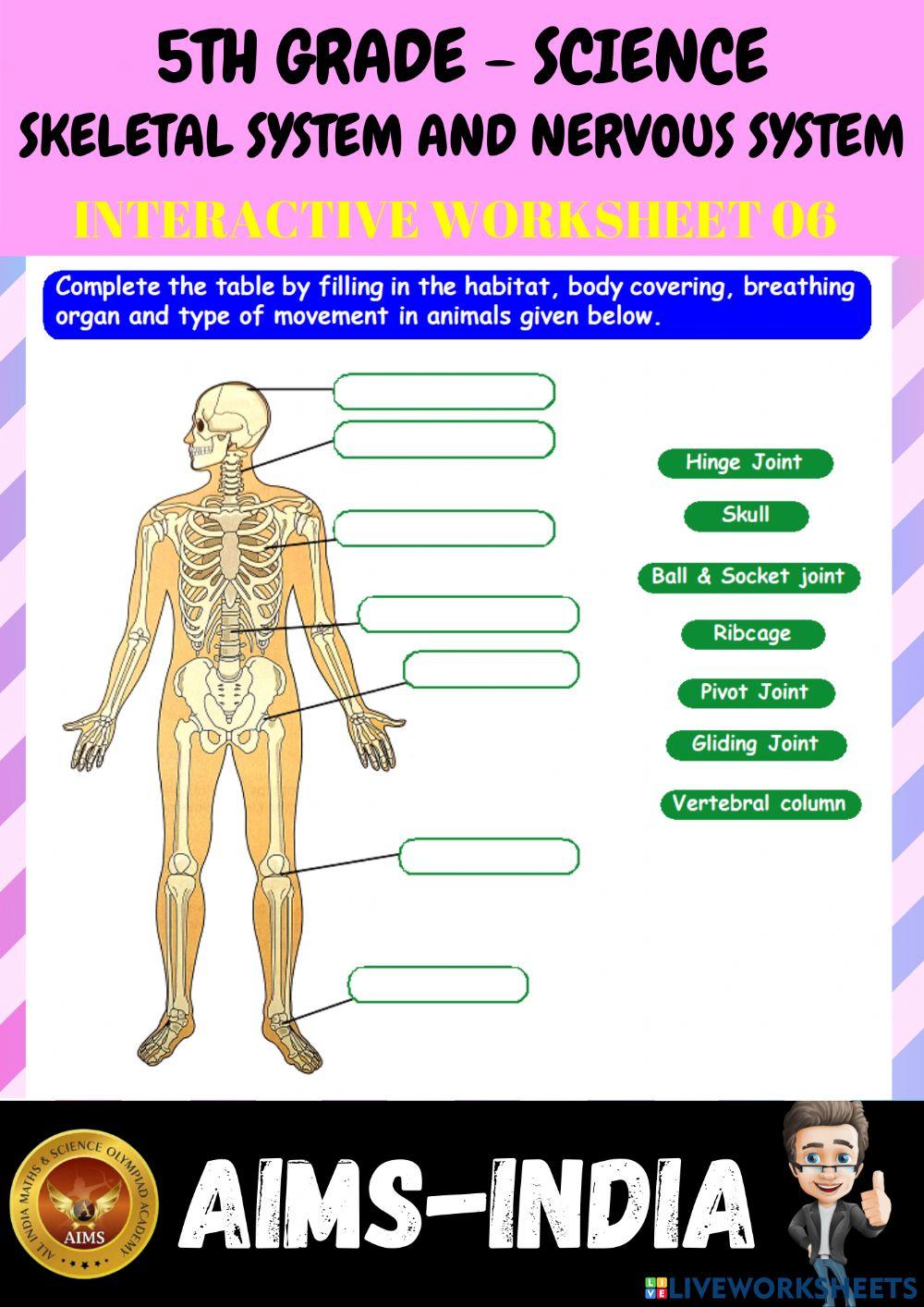 5th-science-ps06- skeletal system and nervous system