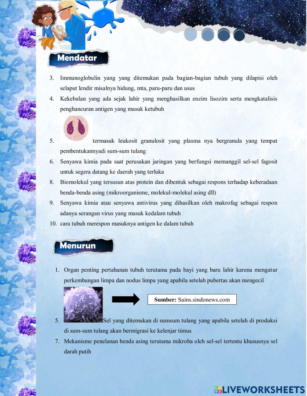 Biologi crossword exercise Live Worksheets