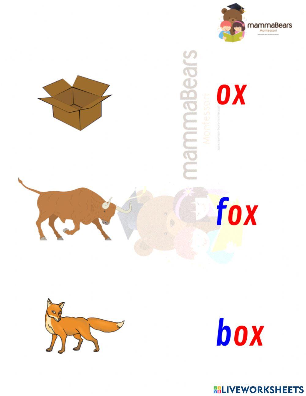 Short o 3 letter words matching worksheet