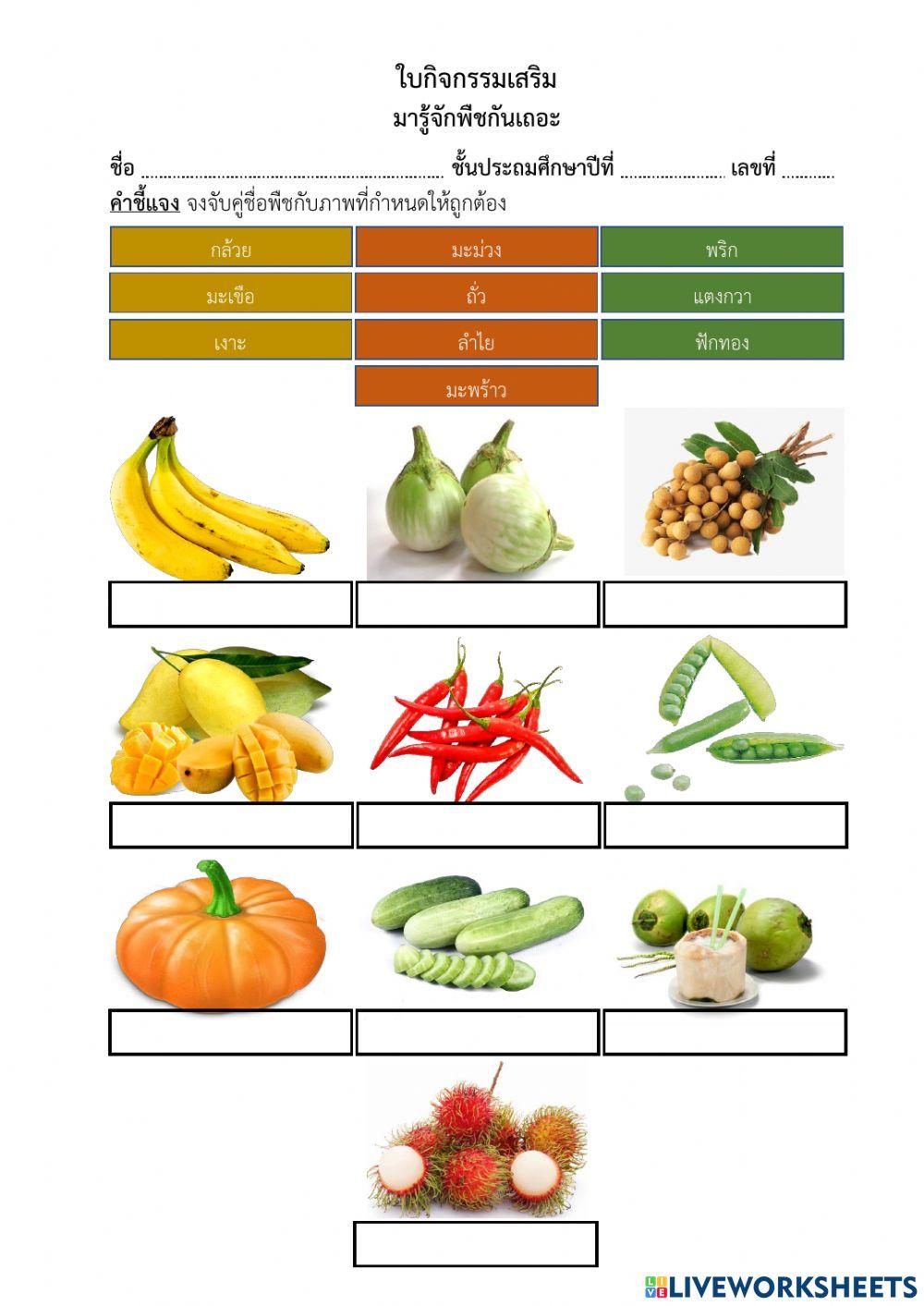 มารู้จักพืช