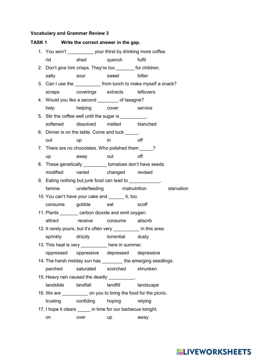 Vocabulary and Grammar Review 3