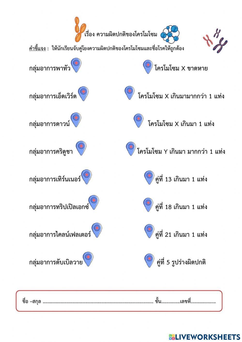 พันธุกรรม ม.3