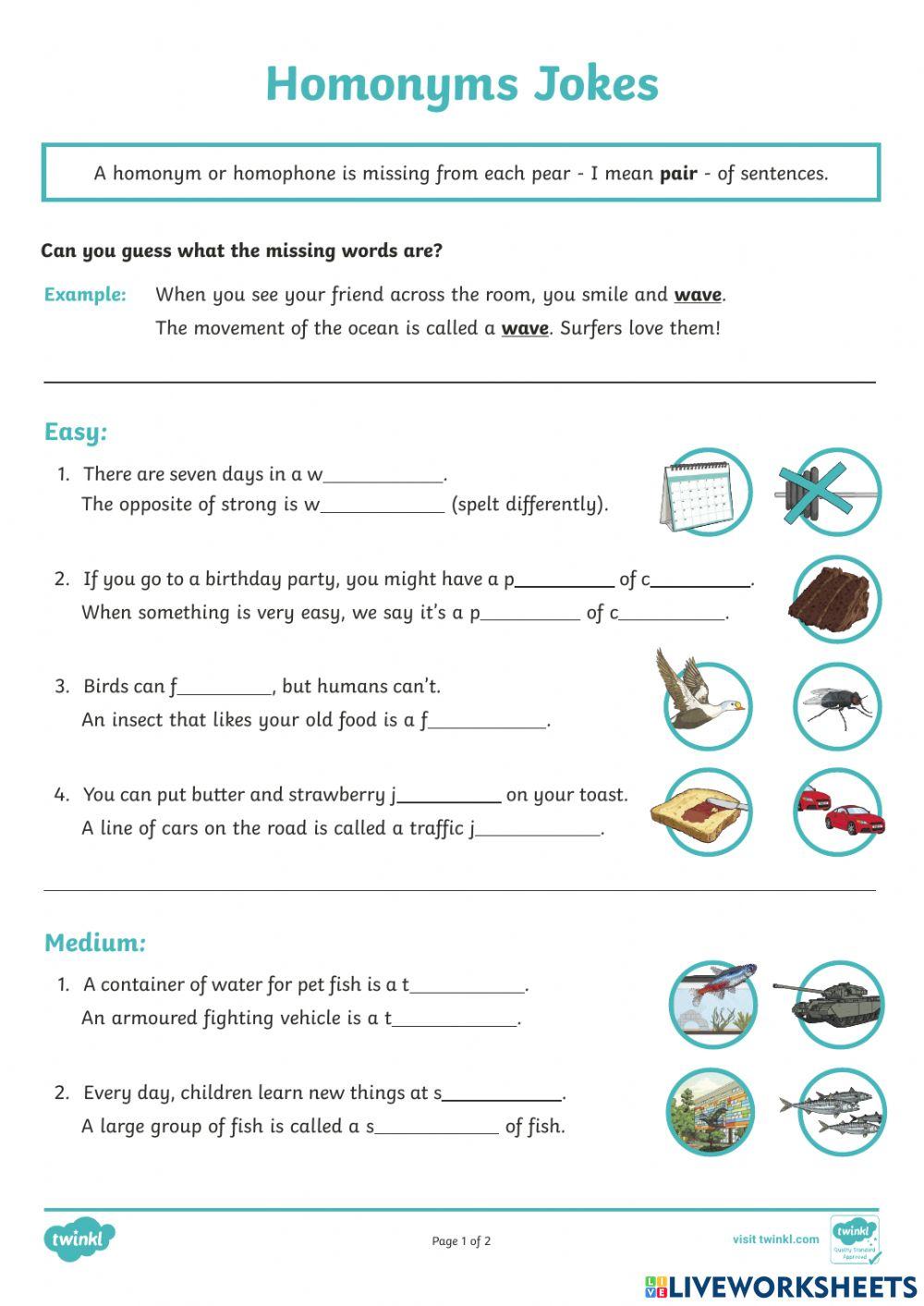 YL15 Homonyms Worksheet online exercise for | Live Worksheets