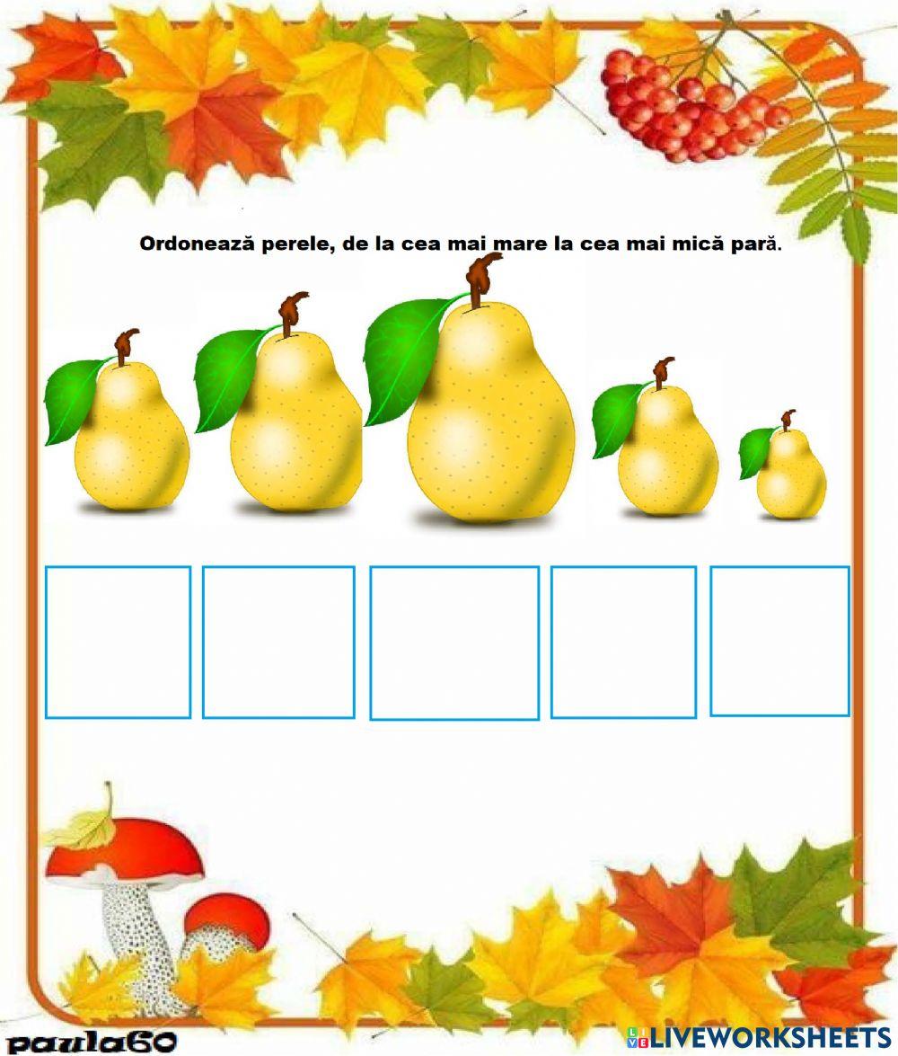 Ordonează perele după mărime! (Exercițiu) Ordonează perele după mărime! (Exercițiu)