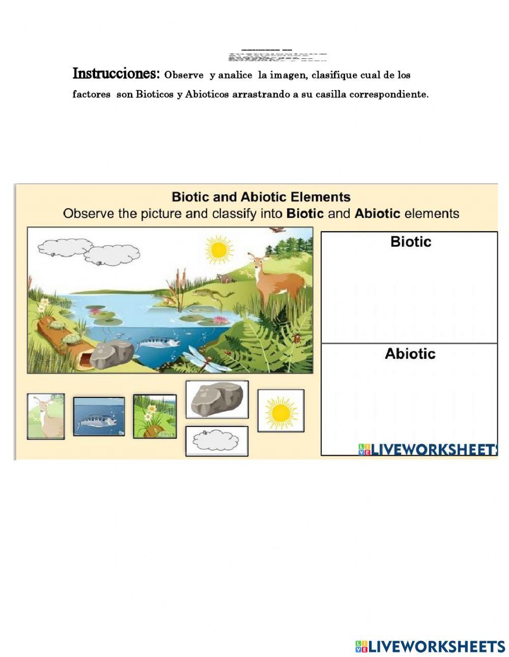 Estrategia tercero science